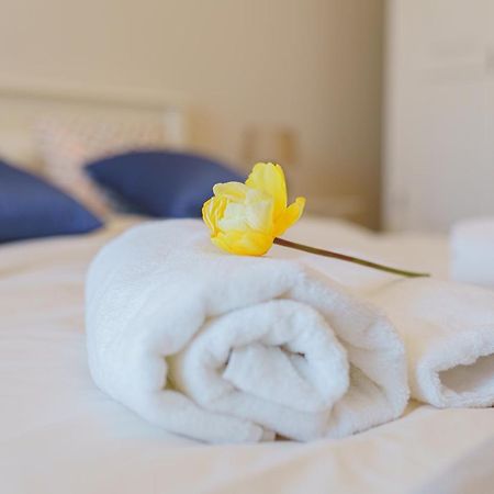 5* Mansion In City Center Клуж-Напока Экстерьер фото