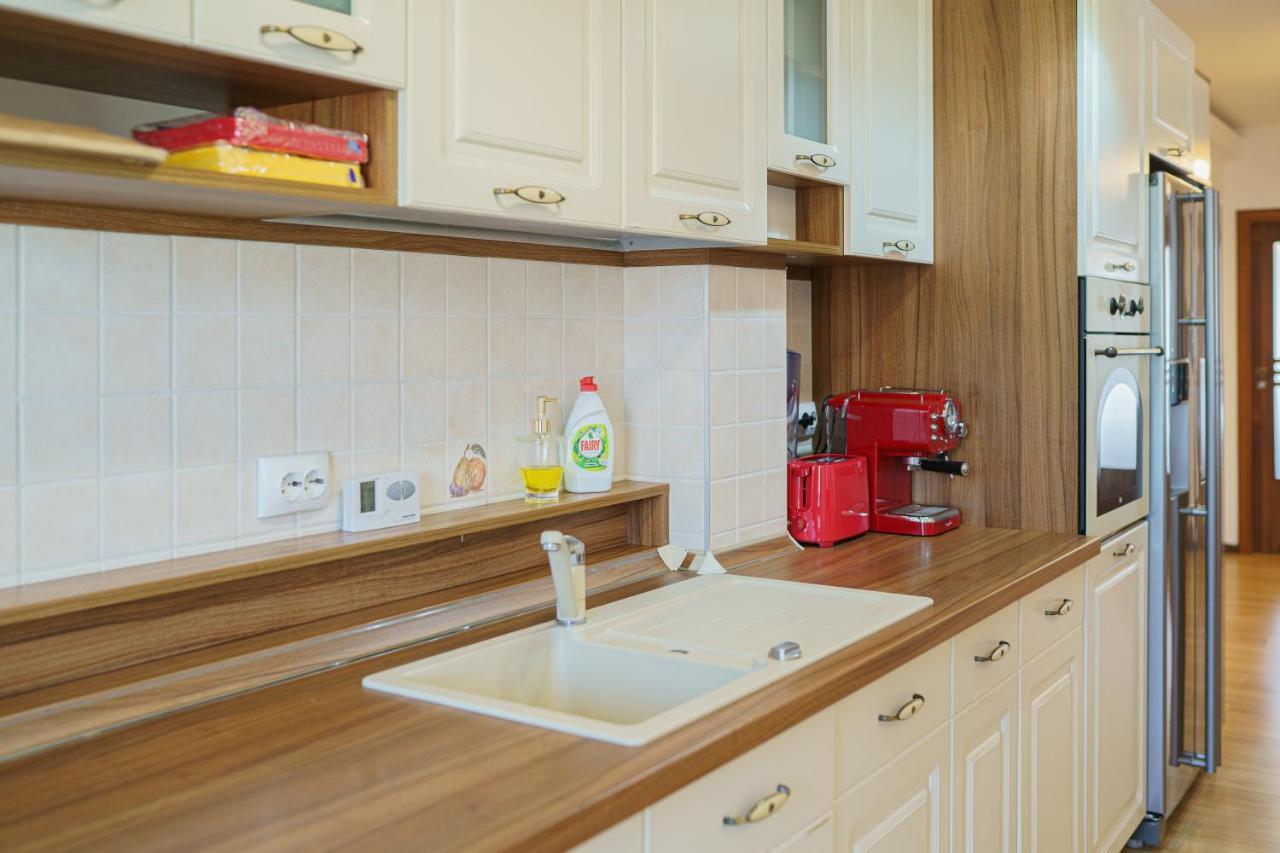 5* Mansion In City Center Клуж-Напока Экстерьер фото